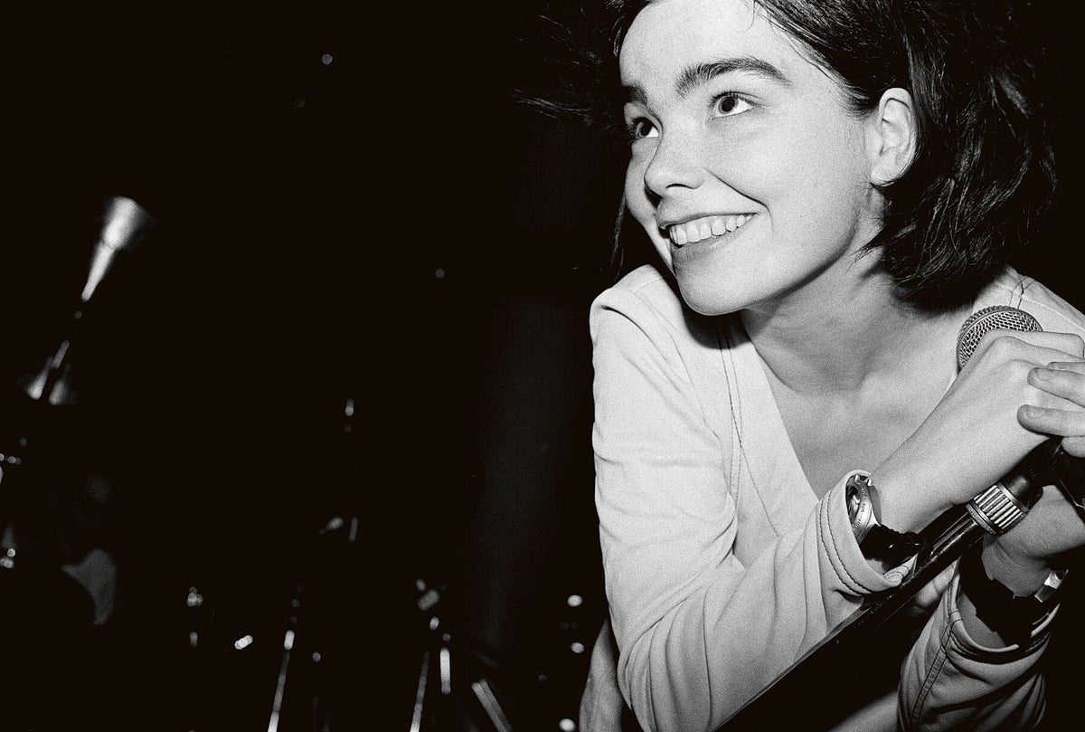 Björk, The Sugarcubes