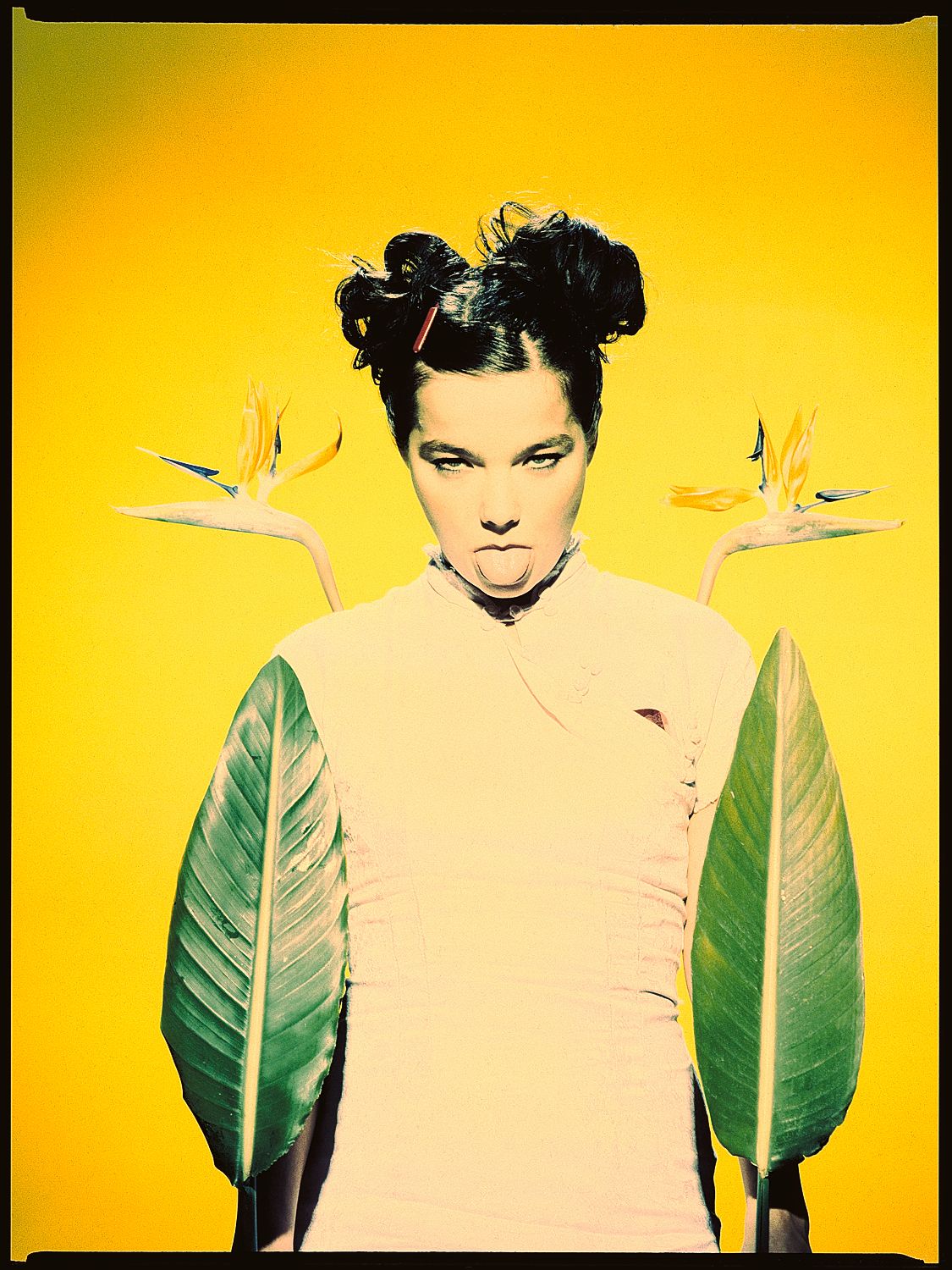 Björk Studio with Flowers - Look 1 - Cross Process - 1995