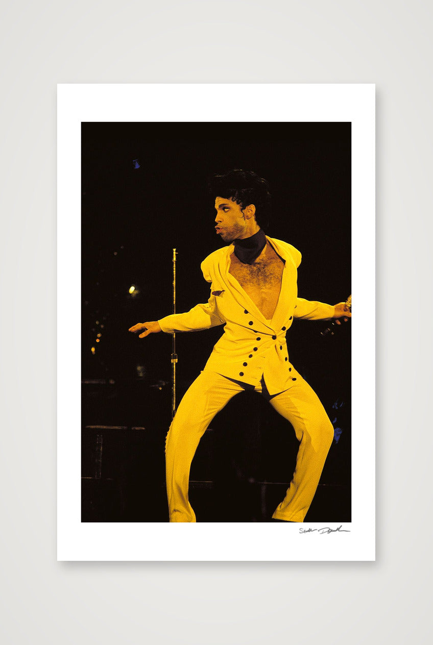 Prince - Olympiahalle, Munich - Shake It Baby — 40×60cm, 16×24" Print only