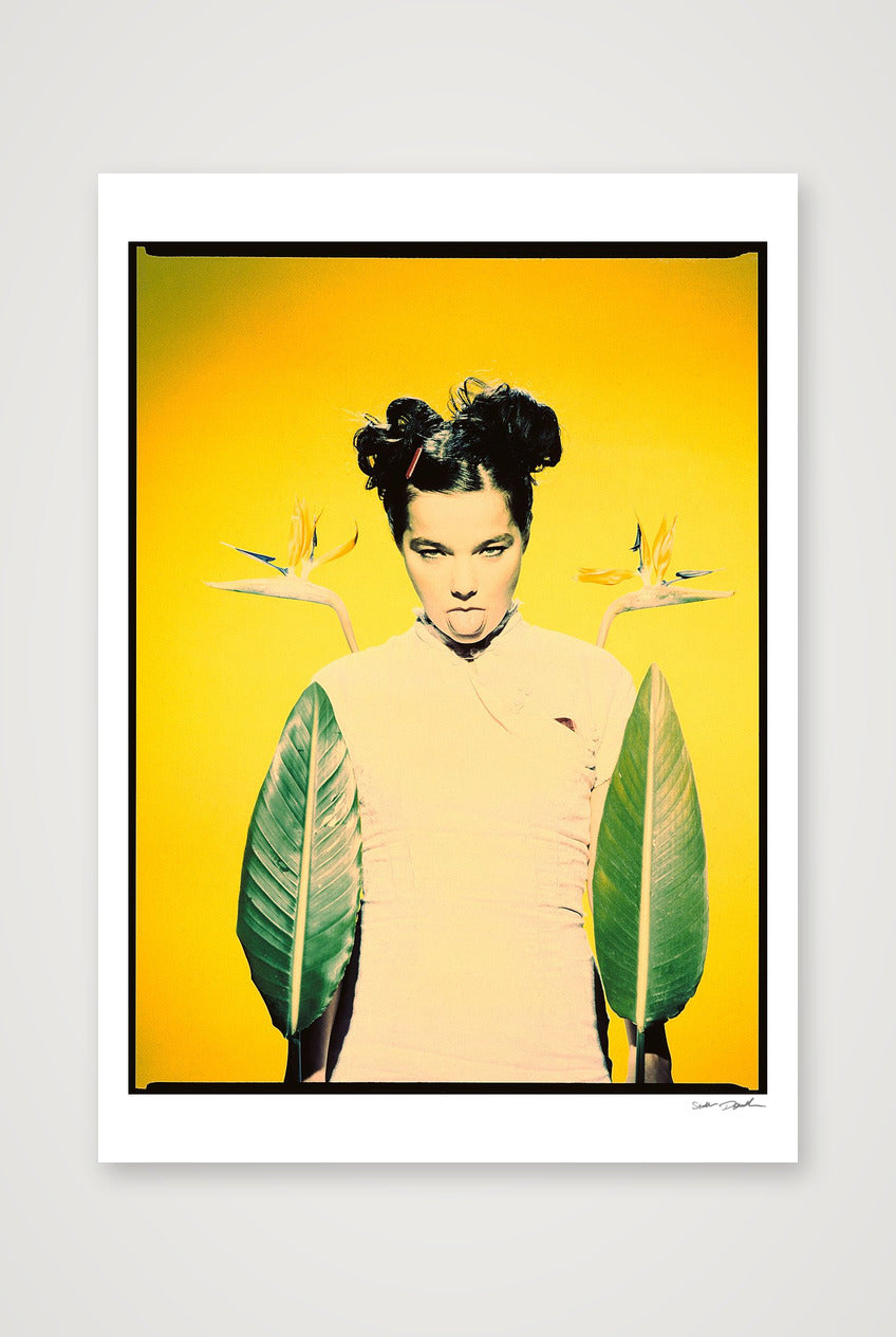 Björk Studio with Flowers - Look 1 - Cross Process - 1995 — A0 (84×119cm, 33×47") Print only