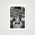 Nirvana – East River Amphitheatre – Portrait 3 — 30×45cm, 12×18" Print only