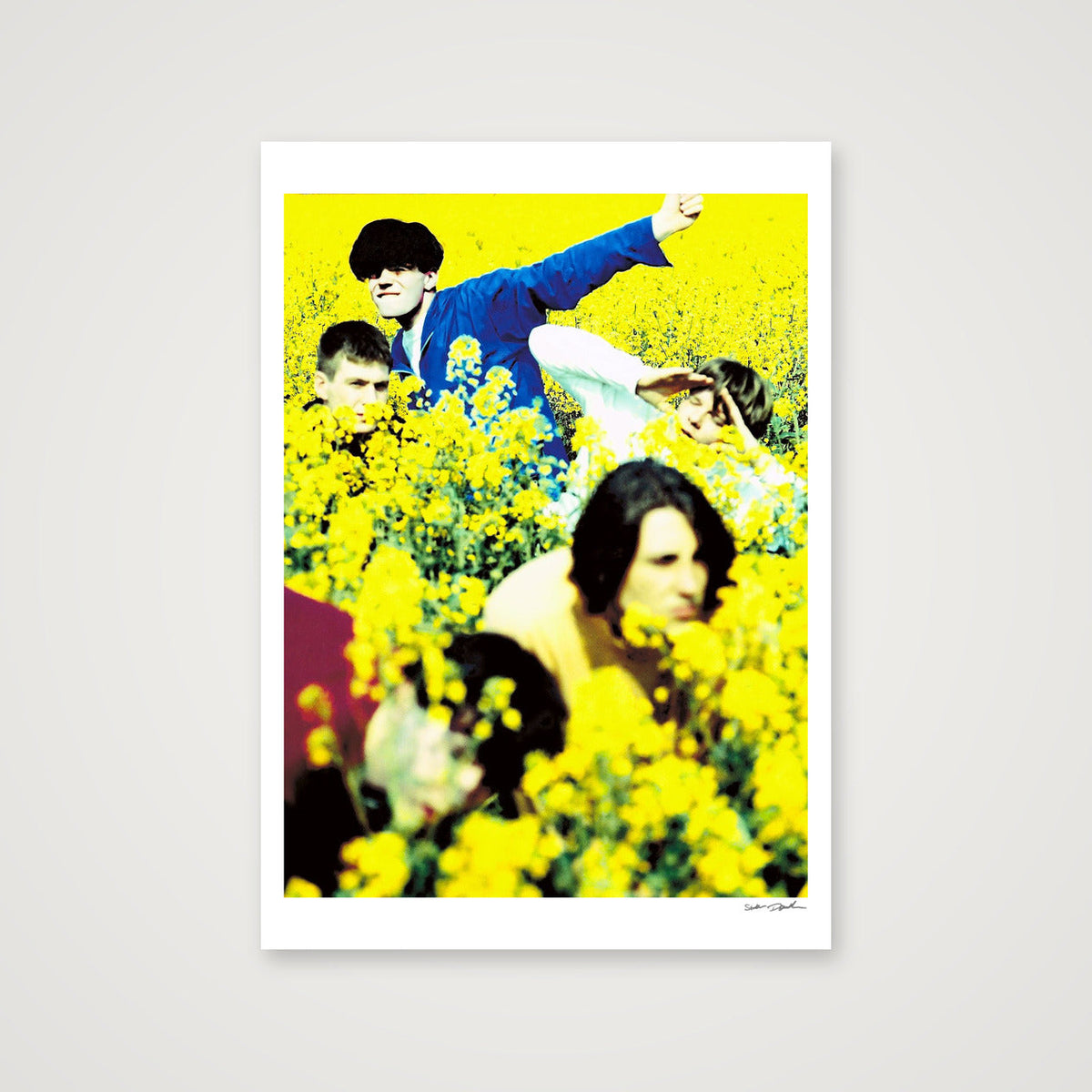 The Charlatans - Northwich Rape Field 2 — A1 (59×84cm, 23×33") Print only