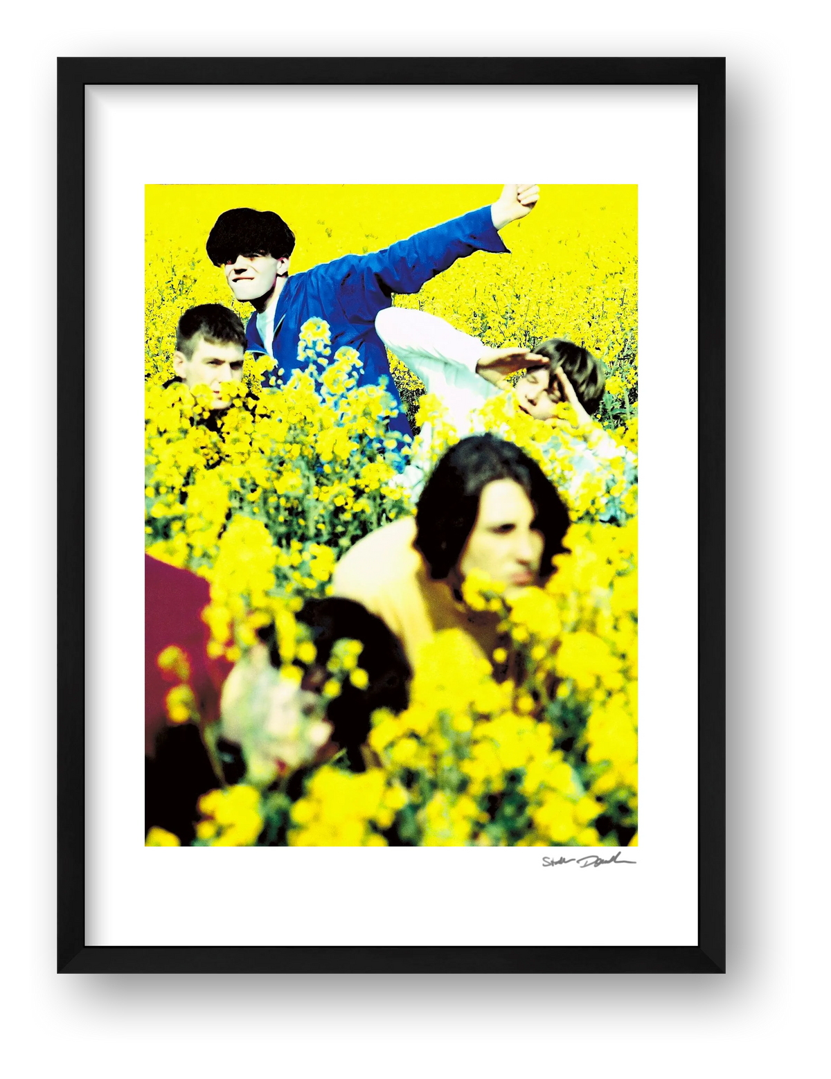 The Charlatans - Northwich Rape Field 2 — framed