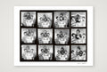 Blur - 1990 - Contact Sheet 22B — 40×30cm, 16×12" Print only